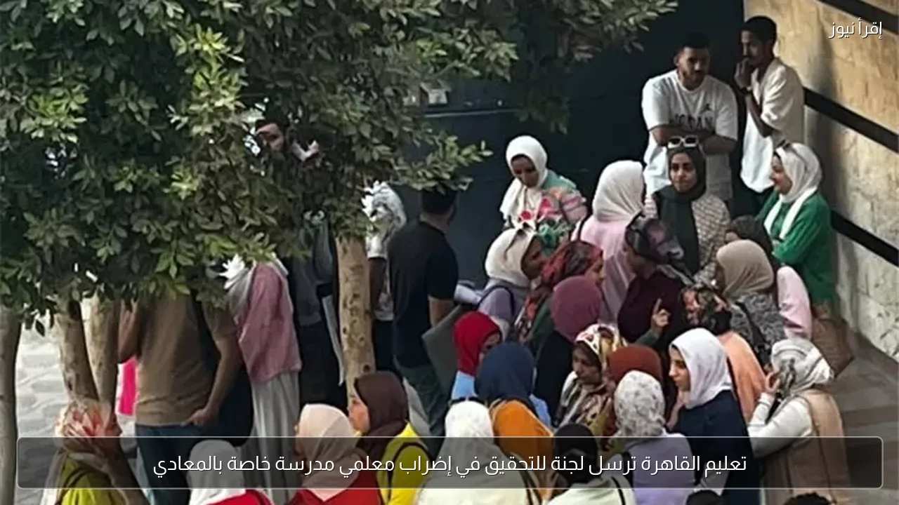 تعليم القاهرة ترسل لجنة للتحقيق في إضراب معلمي مدرسة خاصة بالمعادي