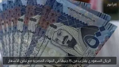 الريال السعودي يقترب من 15 جنيهًا في البنوك المصرية مع تباين الأسعار