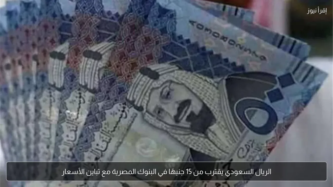الريال السعودي يقترب من 15 جنيهًا في البنوك المصرية مع تباين الأسعار
