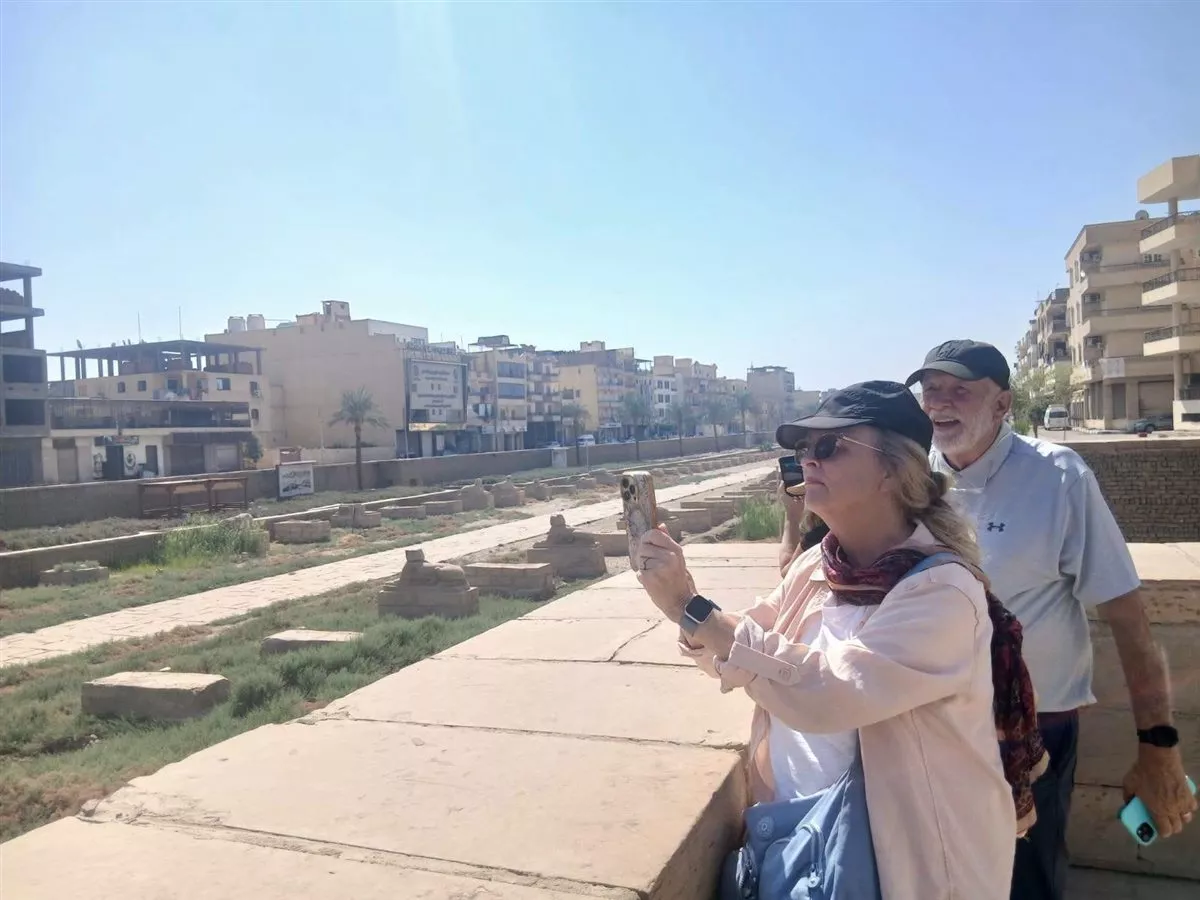 مطالبات بإزالة الحشائش ونباتات العقول من طريق الكباش