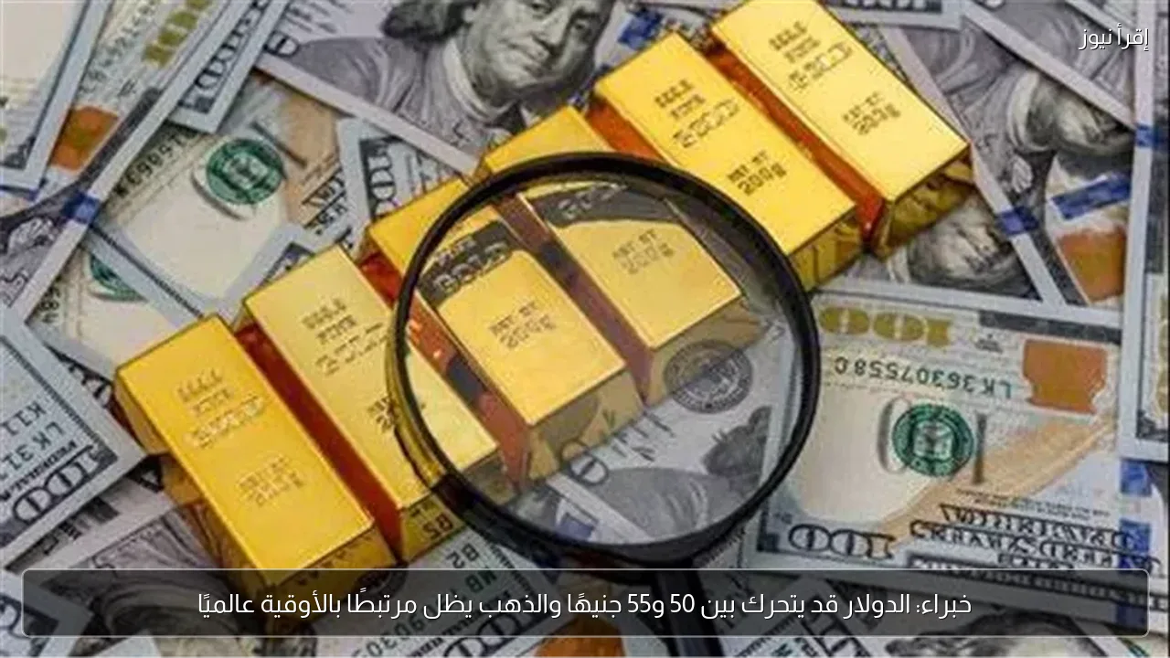 خبراء: الدولار قد يتحرك بين 50 و55 جنيهًا والذهب يظل مرتبطًا بالأوقية عالميًا