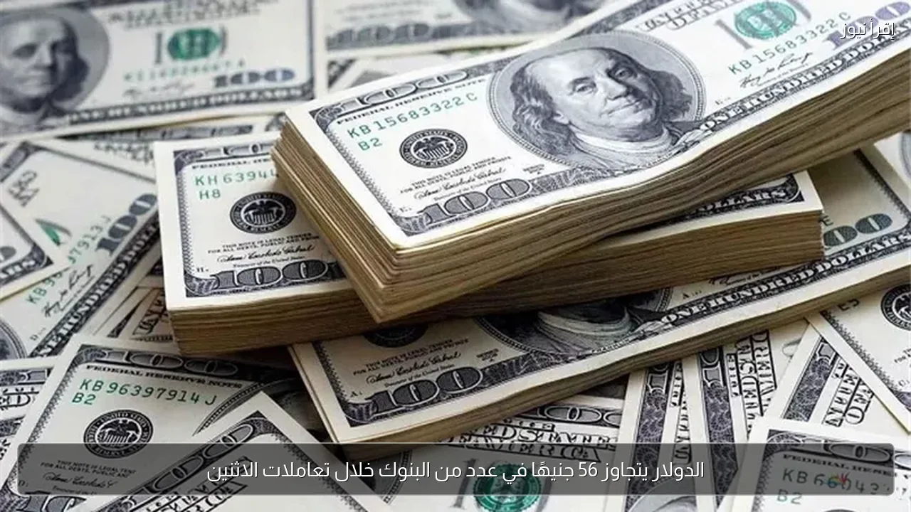 الدولار يتجاوز 56 جنيهًا في عدد من البنوك خلال تعاملات الاثنين