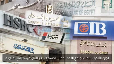 لجان الألكو بالبنوك تجتمع الأحد المقبل لحسم أسعار العائد بعد رفع الفائدة