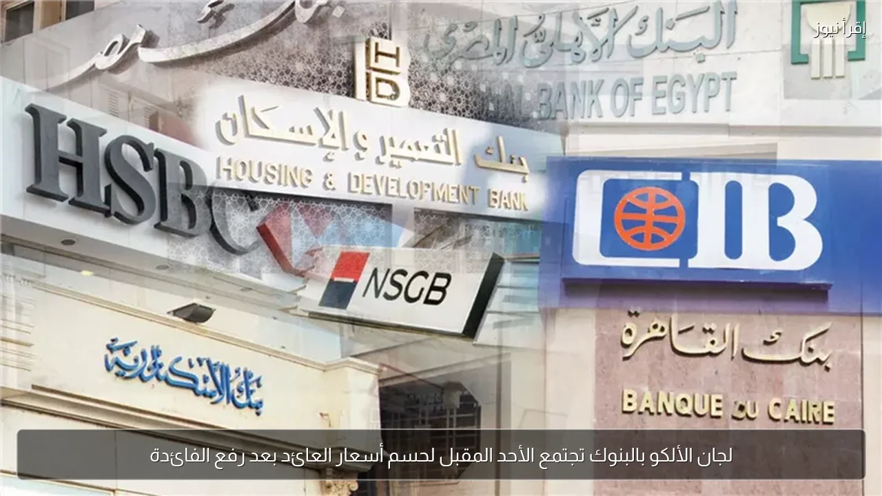 لجان الألكو بالبنوك تجتمع الأحد المقبل لحسم أسعار العائد بعد رفع الفائدة