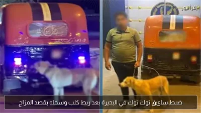 ضبط سائق توك توك في البحيرة بعد ربط كلب وسحله بقصد المزاح