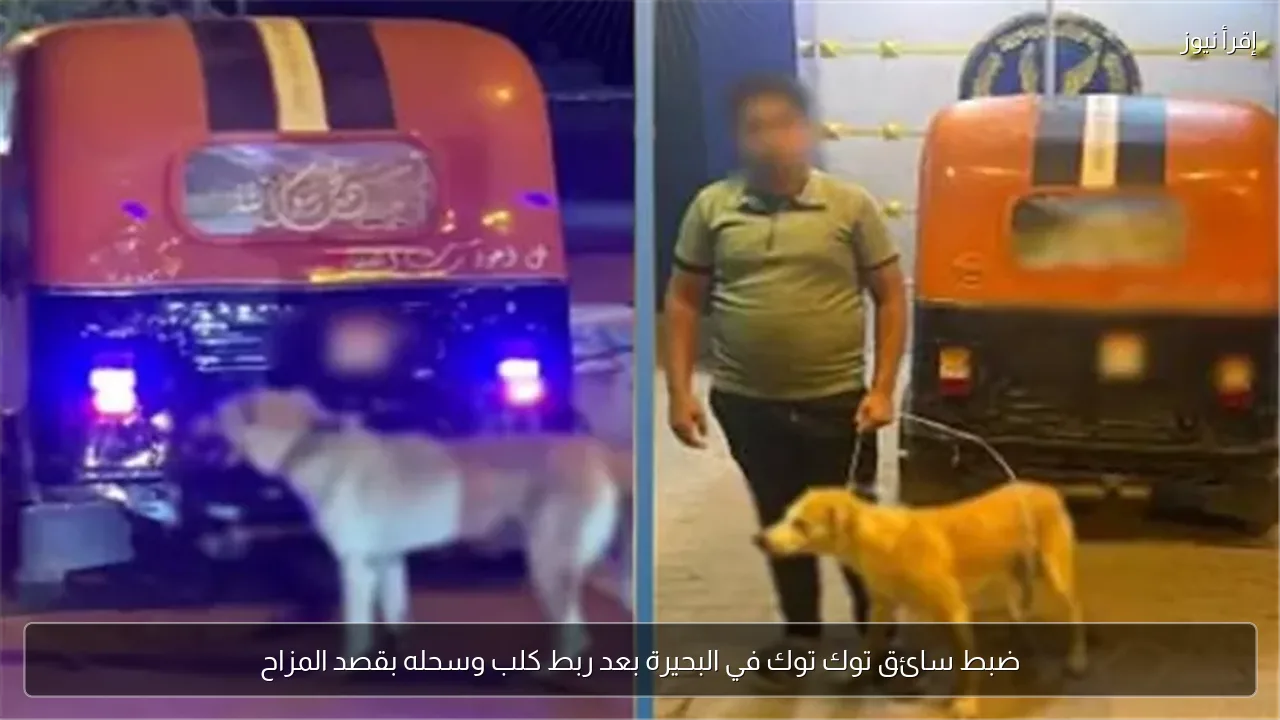 ضبط سائق توك توك في البحيرة بعد ربط كلب وسحله بقصد المزاح