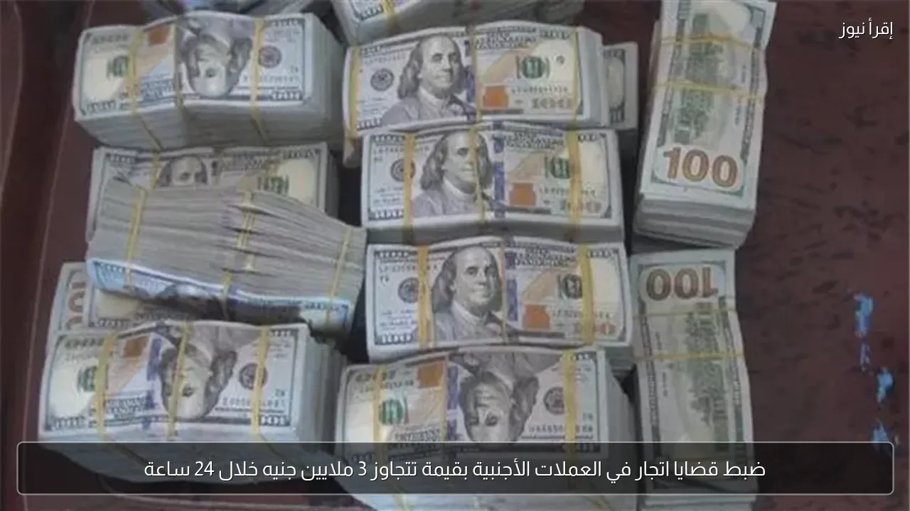 ضبط قضايا اتجار في العملات الأجنبية بقيمة تتجاوز 3 ملايين جنيه خلال 24 ساعة