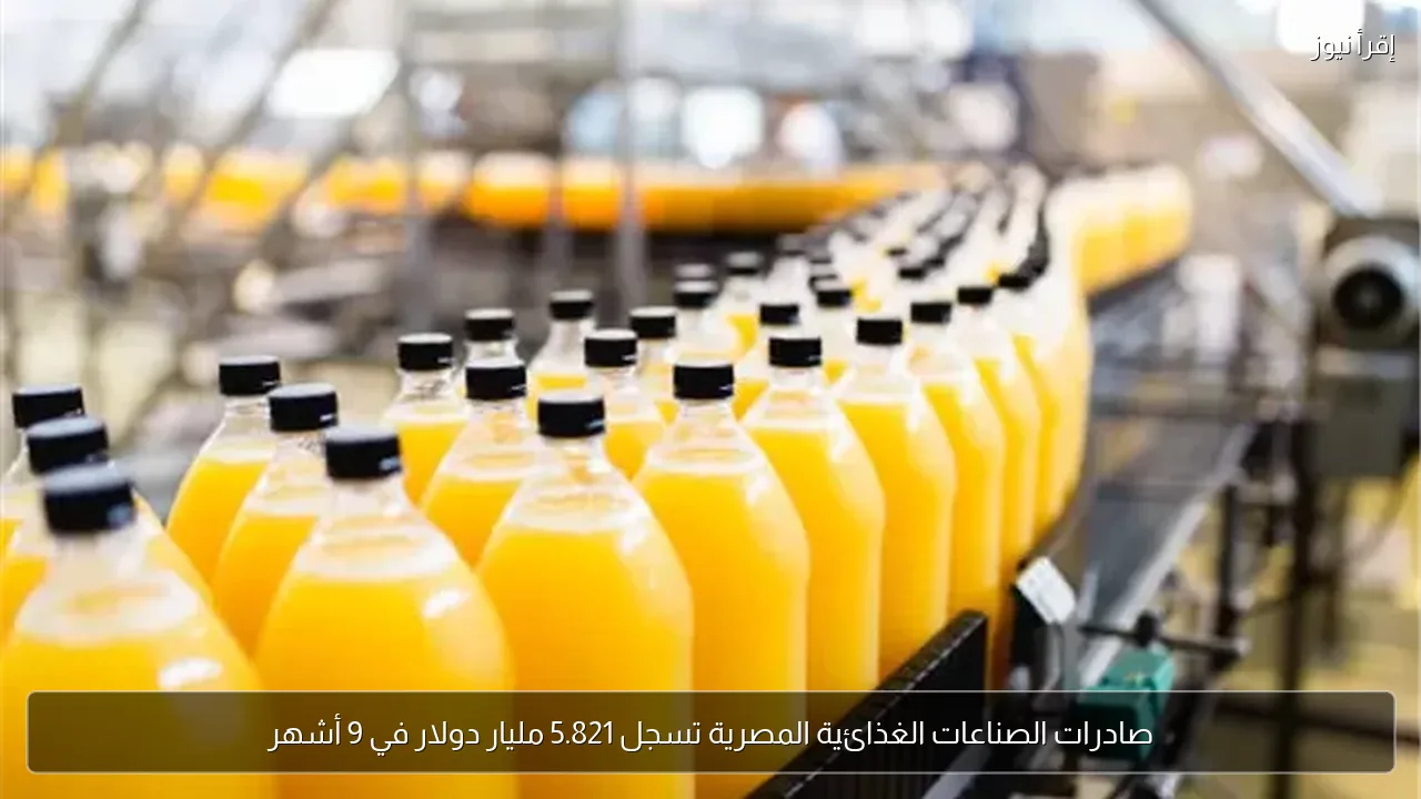 صادرات الصناعات الغذائية المصرية تسجل 5.821 مليار دولار في 9 أشهر