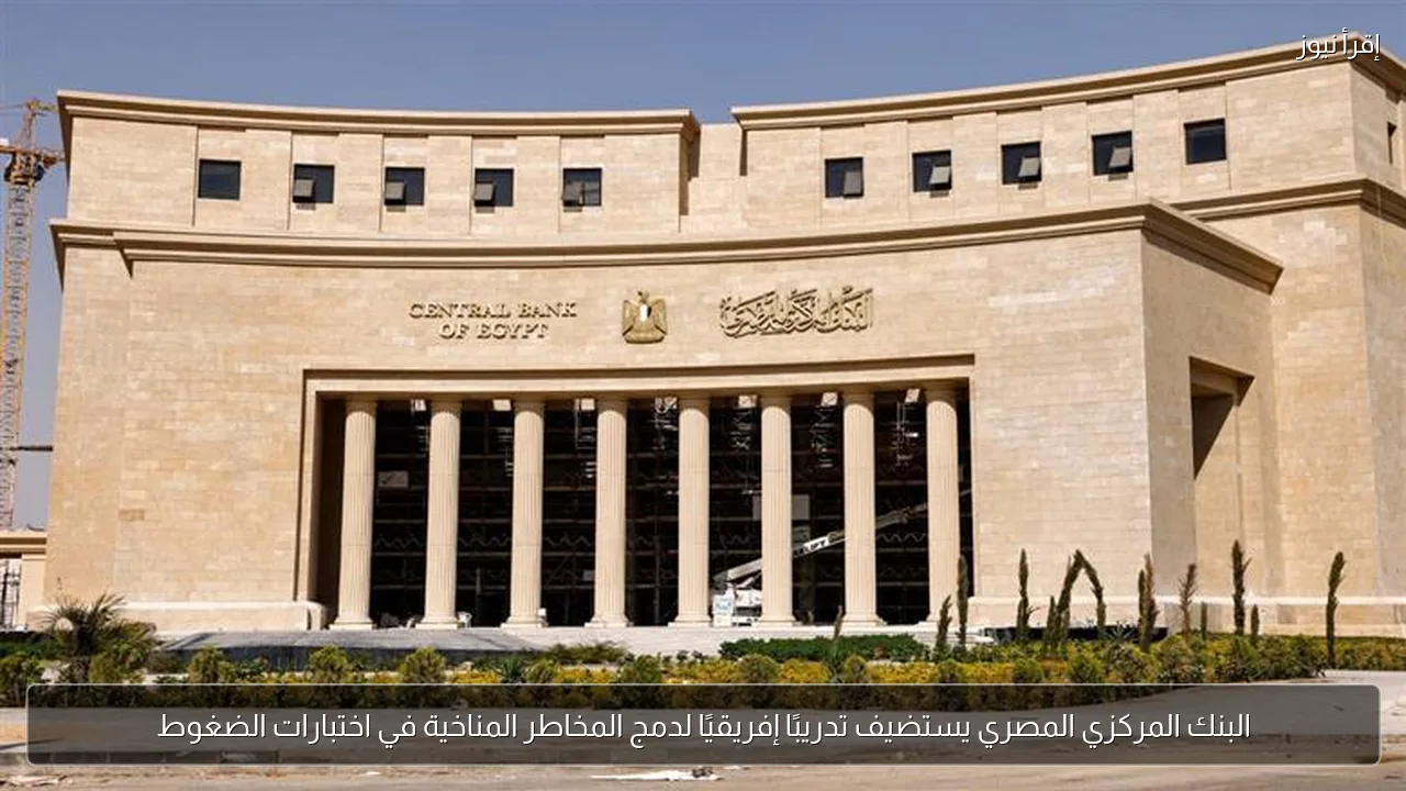 البنك المركزي المصري يستضيف تدريبًا إفريقيًا لدمج المخاطر المناخية في اختبارات الضغوط