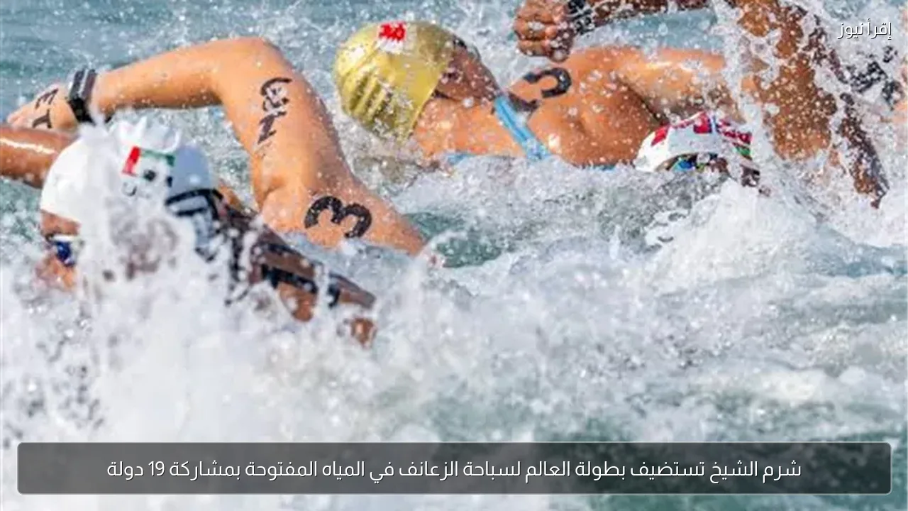 شرم الشيخ تستضيف بطولة العالم لسباحة الزعانف في المياه المفتوحة بمشاركة 19 دولة
