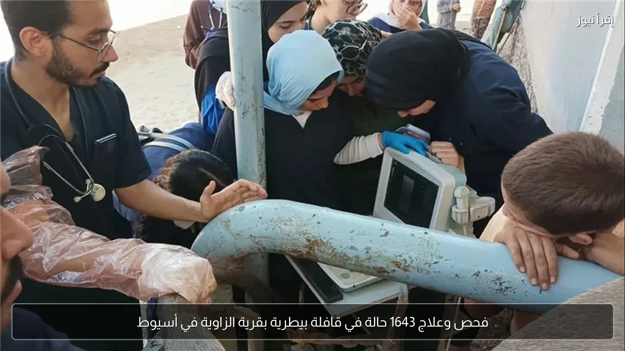 فحص وعلاج 1643 حالة في قافلة بيطرية بقرية الزاوية في أسيوط