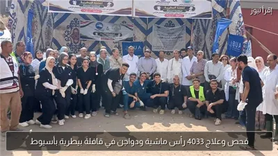 فحص وعلاج 4033 رأس ماشية ودواجن في قافلة بيطرية بأسيوط