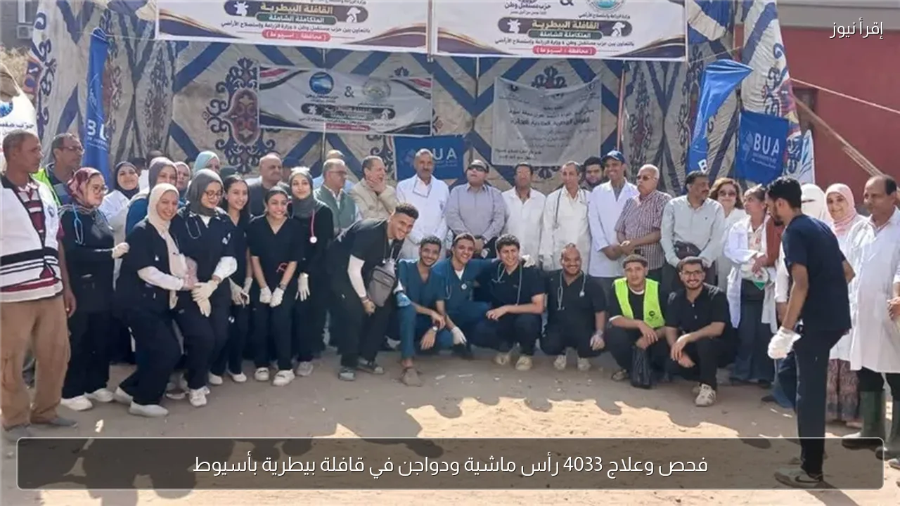 فحص وعلاج 4033 رأس ماشية ودواجن في قافلة بيطرية بأسيوط