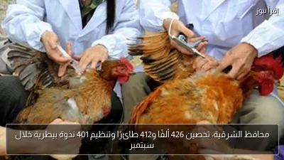محافظ الشرقية: تحصين 426 ألفًا و412 طائرًا وتنظيم 401 ندوة بيطرية خلال سبتمبر