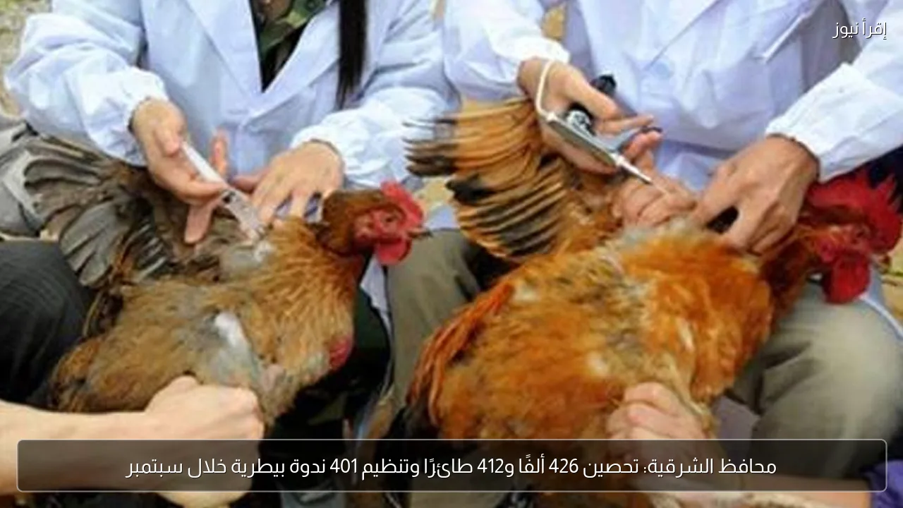 محافظ الشرقية: تحصين 426 ألفًا و412 طائرًا وتنظيم 401 ندوة بيطرية خلال سبتمبر
