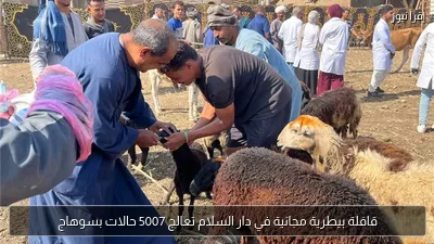 قافلة بيطرية مجانية في دار السلام تعالج 5007 حالات بسوهاج