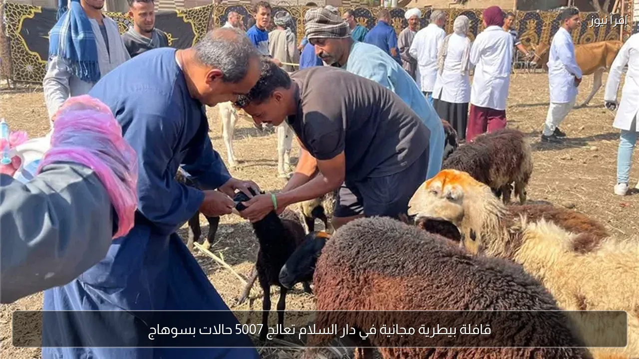 قافلة بيطرية مجانية في دار السلام تعالج 5007 حالات بسوهاج