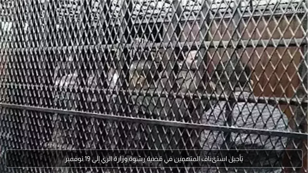 تأجيل استئناف المتهمين في قضية رشوة وزارة الري إلى 19 نوفمبر