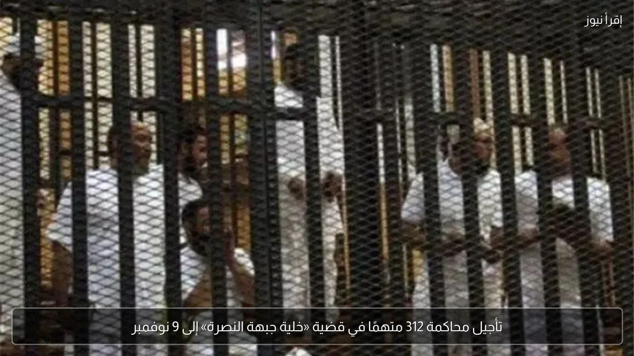تأجيل محاكمة 312 متهمًا في قضية «خلية جبهة النصرة» إلى 9 نوفمبر
