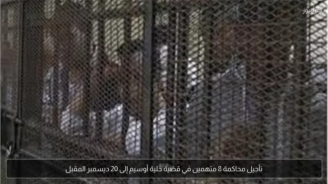 تأجيل محاكمة 8 متهمين في قضية خلية أوسيم إلى 20 ديسمبر المقبل