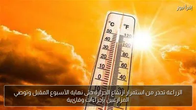 الزراعة تحذر من استمرار ارتفاع الحرارة حتى نهاية الأسبوع المقبل وتوصي المزارعين بإجراءات وقائية