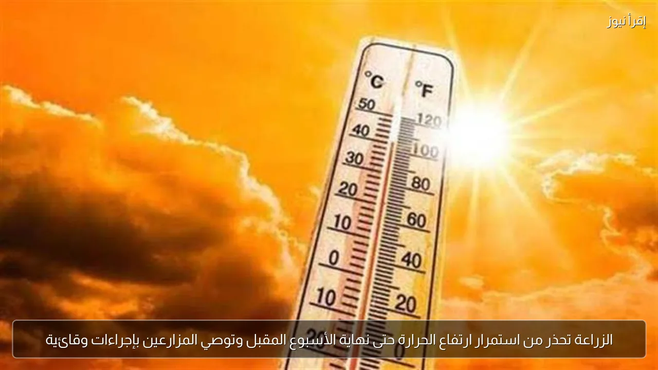 الزراعة تحذر من استمرار ارتفاع الحرارة حتى نهاية الأسبوع المقبل وتوصي المزارعين بإجراءات وقائية