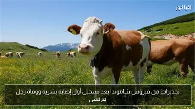 تحذيرات من فيروس شاموندا بعد تسجيل أول إصابة بشرية ووفاة رجل فرنسي