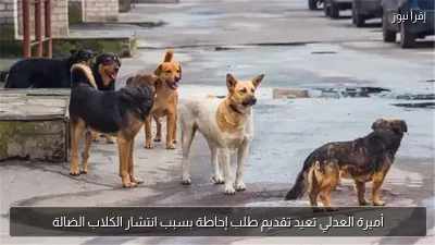 أميرة العدلي تعيد تقديم طلب إحاطة بسبب انتشار الكلاب الضالة