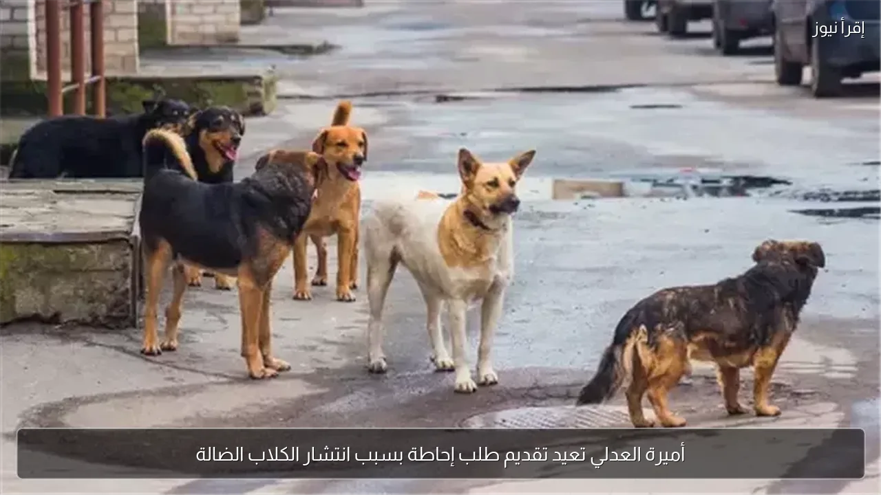 أميرة العدلي تعيد تقديم طلب إحاطة بسبب انتشار الكلاب الضالة
