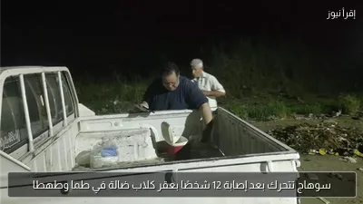 سوهاج تتحرك بعد إصابة 12 شخصًا بعقر كلاب ضالة في طما وطهطا