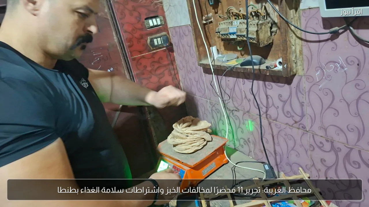 محافظ الغربية: تحرير 11 محضرًا لمخالفات الخبز واشتراطات سلامة الغذاء بطنطا