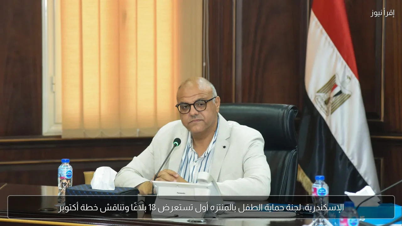 الإسكندرية: لجنة حماية الطفل بالمنتزه أول تستعرض 18 بلاغًا وتناقش خطة أكتوبر
