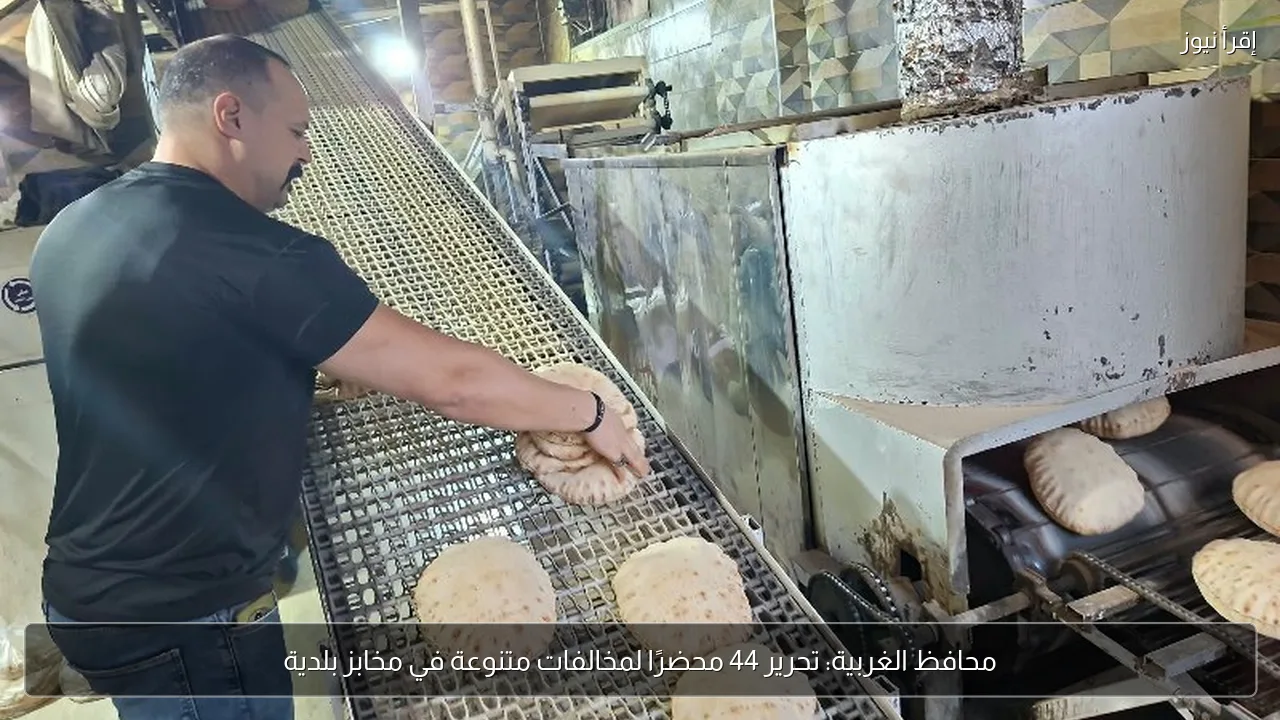 محافظ الغربية: تحرير 44 محضرًا لمخالفات متنوعة في مخابز بلدية