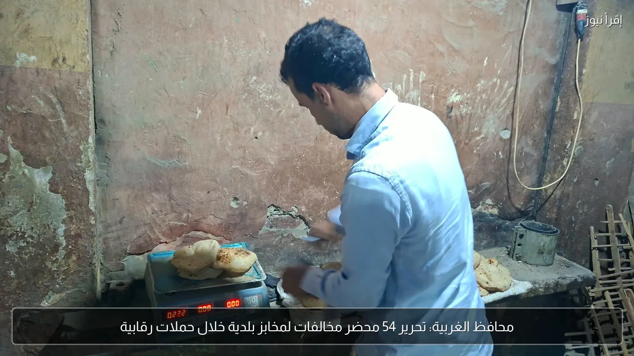 محافظ الغربية: تحرير 54 محضر مخالفات لمخابز بلدية خلال حملات رقابية