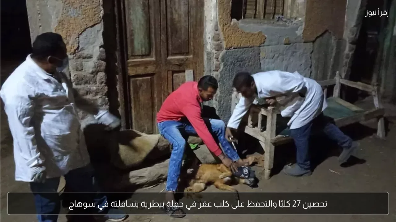 تحصين 27 كلبًا والتحفظ على كلب عقر في حملة بيطرية بساقلتة في سوهاج