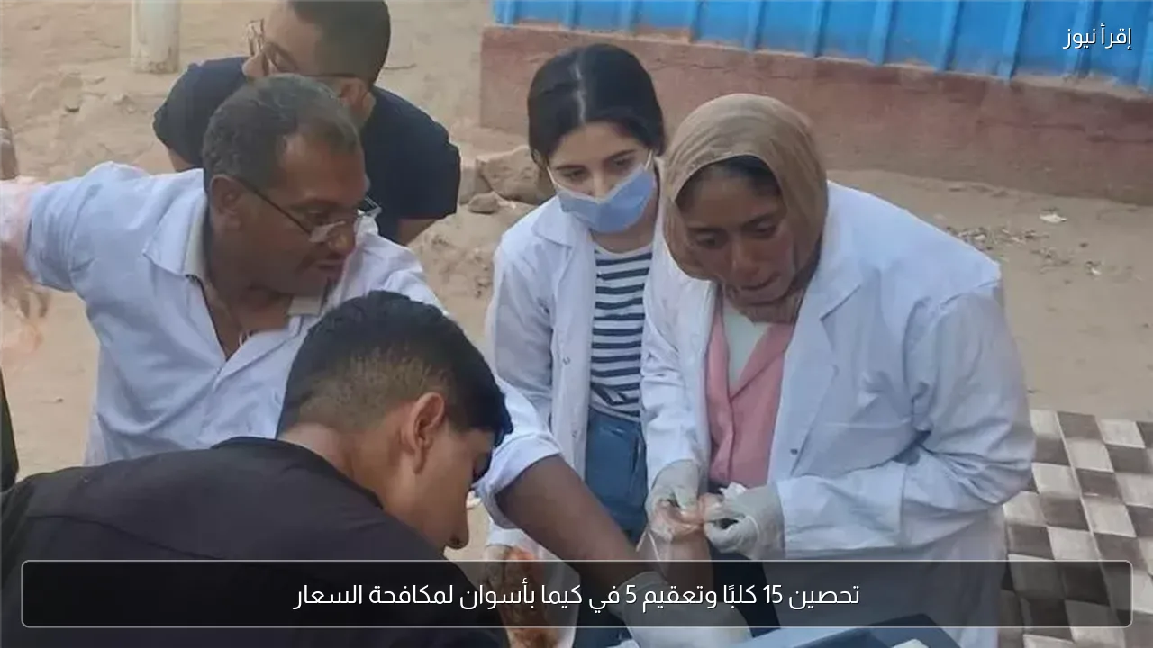 تحصين 15 كلبًا وتعقيم 5 في كيما بأسوان لمكافحة السعار