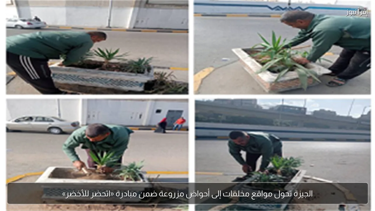 الجيزة تحول مواقع مخلفات إلى أحواض مزروعة ضمن مبادرة «اتحضر للأخضر»