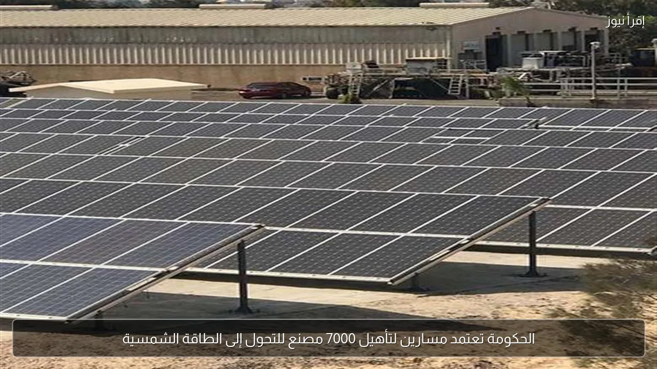 الحكومة تعتمد مسارين لتأهيل 7000 مصنع للتحول إلى الطاقة الشمسية