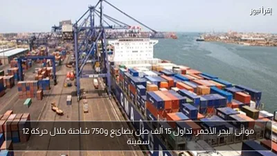 موانئ البحر الأحمر: تداول 15 ألف طن بضائع و750 شاحنة خلال حركة 12 سفينة