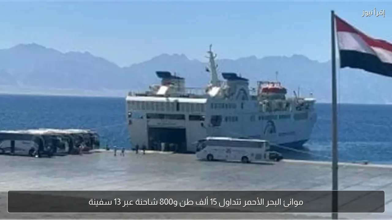 موانئ البحر الأحمر تتداول 15 ألف طن و800 شاحنة عبر 13 سفينة