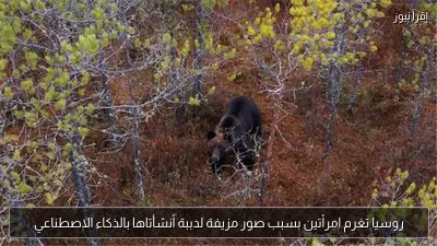 روسيا تغرم امرأتين بسبب صور مزيفة لدببة أنشأتاها بالذكاء الاصطناعي