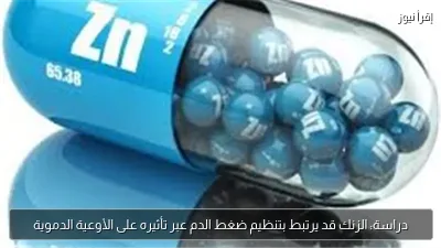 دراسة: الزنك قد يرتبط بتنظيم ضغط الدم عبر تأثيره على الأوعية الدموية
