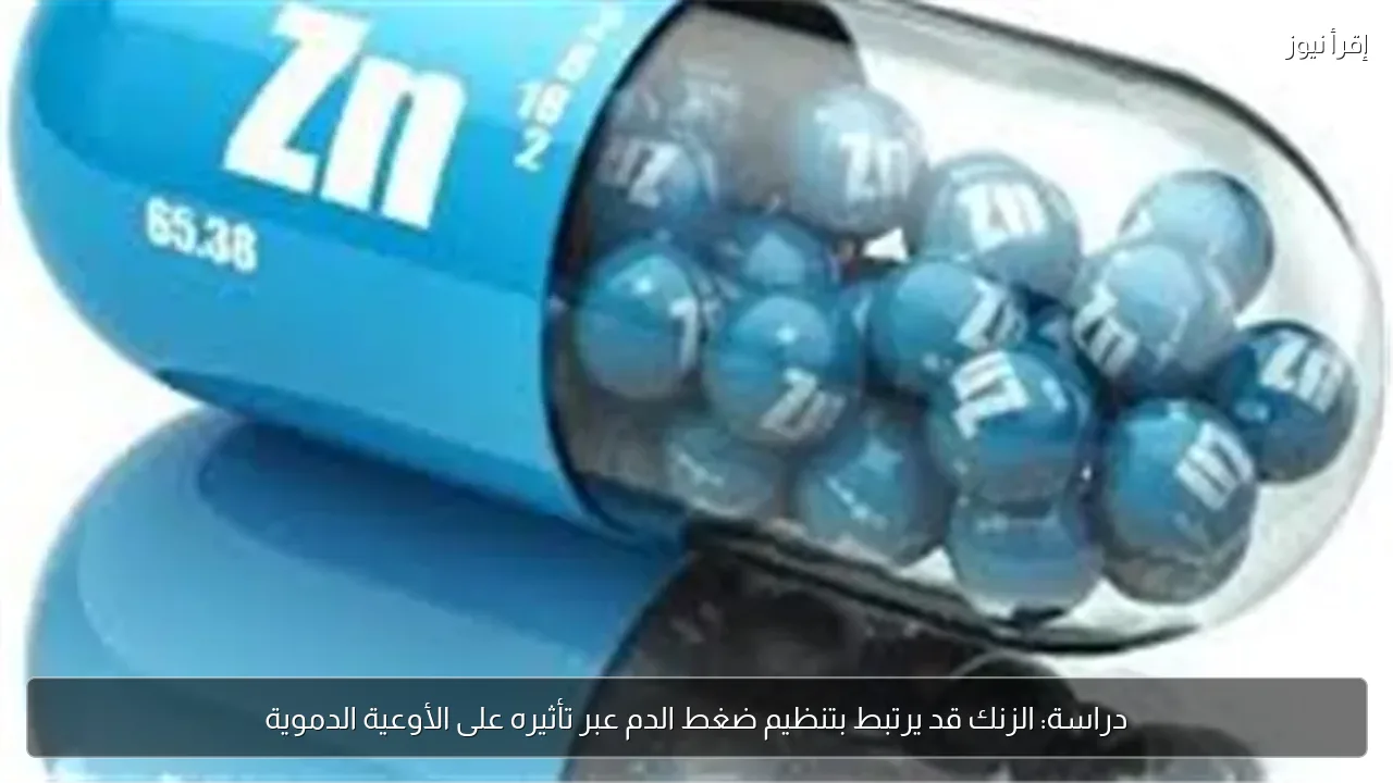 دراسة: الزنك قد يرتبط بتنظيم ضغط الدم عبر تأثيره على الأوعية الدموية