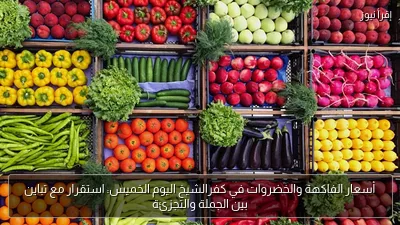 أسعار الفاكهة والخضروات في كفرالشيخ اليوم الخميس: استقرار مع تباين بين الجملة والتجزئة