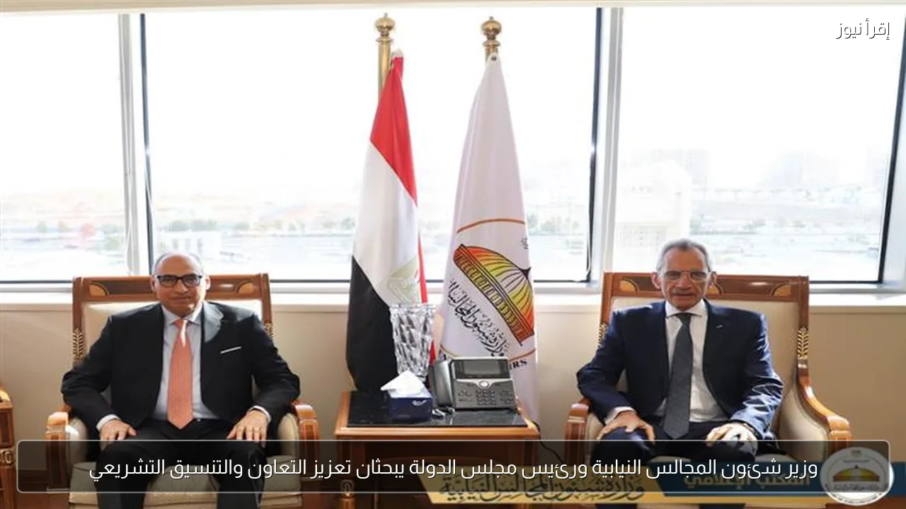 وزير شئون المجالس النيابية ورئيس مجلس الدولة يبحثان تعزيز التعاون والتنسيق التشريعي