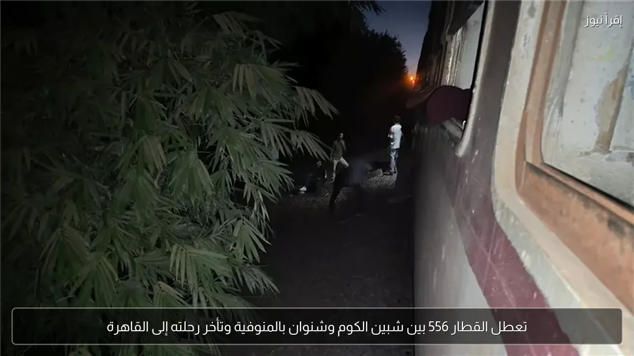 تعطل القطار 556 بين شبين الكوم وشنوان بالمنوفية وتأخر رحلته إلى القاهرة