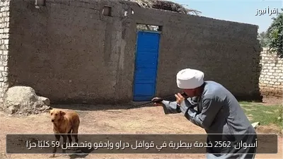 أسوان: 2562 خدمة بيطرية في قوافل دراو وإدفو وتحـصين 59 كلبًا حرًا