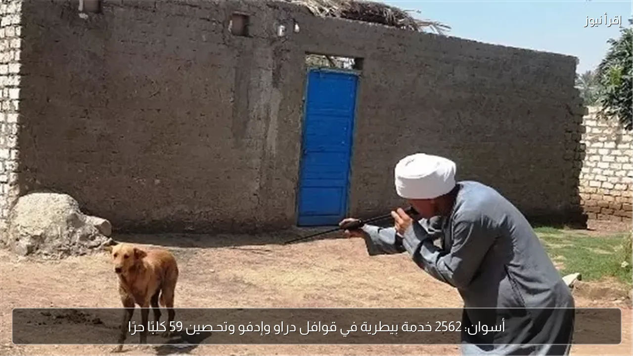 أسوان: 2562 خدمة بيطرية في قوافل دراو وإدفو وتحـصين 59 كلبًا حرًا