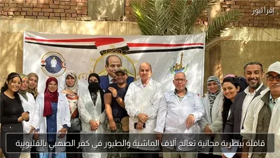 قافلة بيطرية مجانية تعالج آلاف الماشية والطيور في كفر الصهبي بالقليوبية