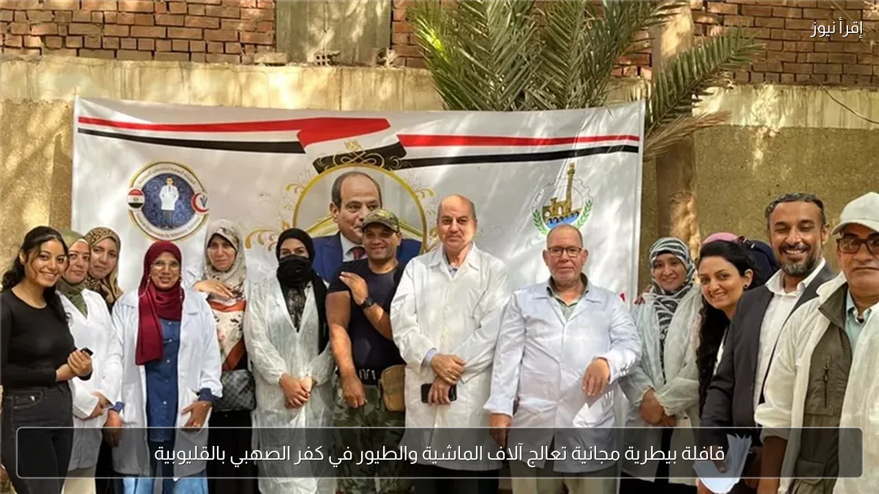 قافلة بيطرية مجانية تعالج آلاف الماشية والطيور في كفر الصهبي بالقليوبية